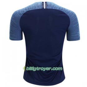 Billige Fotballdrakter Tottenham Hotspur Bortedraktsett 2018/19 Kortermet